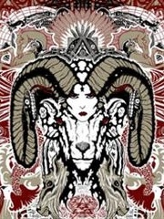 volta's profile picture